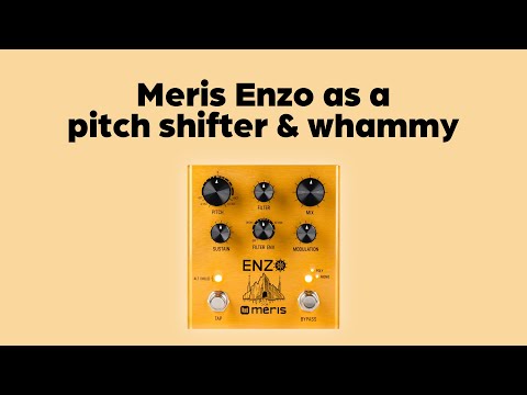 Meris Enzo as a pitch shifter & Whammy