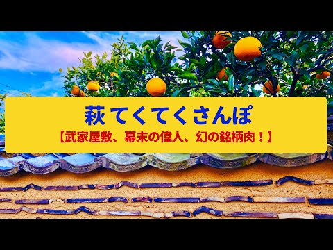 【てくてくさんぽ】萩  毛利家の城下町、武家屋敷の町並み〈堀内伝建地区、指月公園〉Walk around Hagi,YAMAGUCHI JAPAN