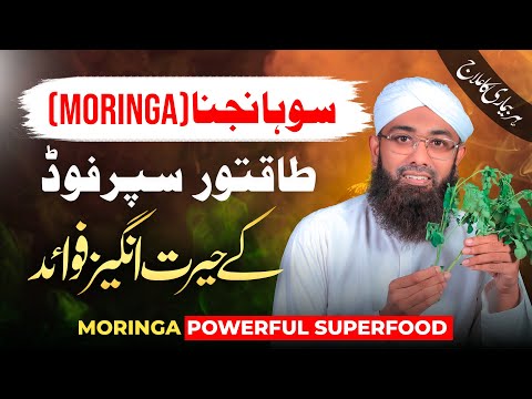 Sohanjna ke Fawaid | Health Benefits Of Moringa | Soban Attari | How to Use Moringa Powder or Leaves