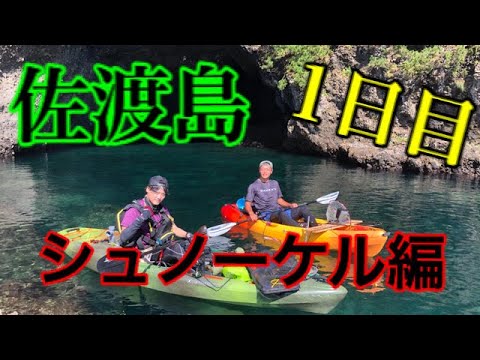 佐渡島で巨大魚と遭遇したシュノーケリング