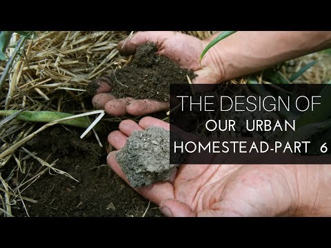 Building Soil on Our Urban Homestead, Part  6