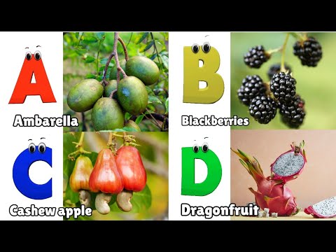 Fruit ABC Song | ABC Fruit Phonics Song | Alphabet Fruits Song for Children | Phonics for Kids