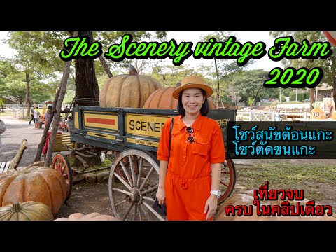 The scenery vintage farm สวนผึ้ง ราชบุรี 2020 ไทยเที่ยวไทย.