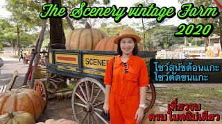 The scenery vintage farm สวนผึ้ง ราชบุรี 2020 ไทยเที่ยวไทย.