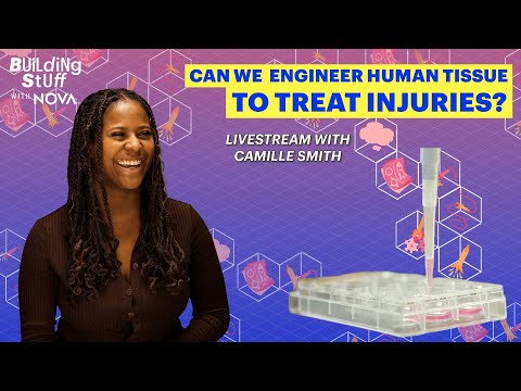 Can We Engineer Human Tissue to Treat Injury? Building Stuff with NOVA Livestream with Camille Smith