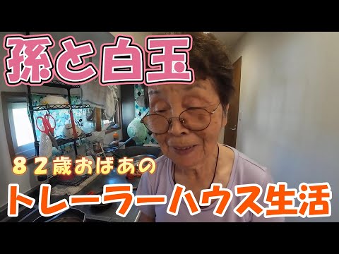 【トレーラーハウス生活】孫と白玉ぜんざい　美味しいよ#352