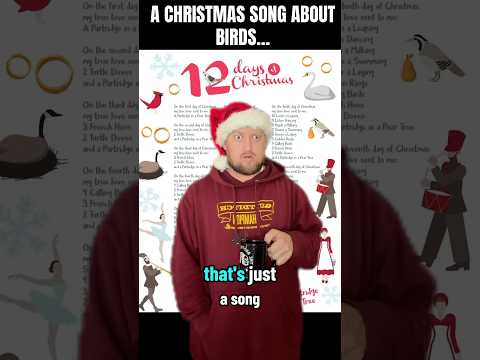 A CHRISTMAS SONG ABOUT 🐦 @jasonsalmon #jasonsalmon #djhuntsofficial #comedyshorts #christmasmusic