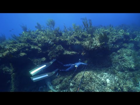 Hunting Underwater Caves for Black Grouper in Key West