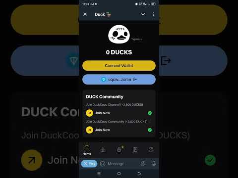 only 4 days left hurry up new telegram bot|| duck stake launching 🤯 | telegram bot 2024