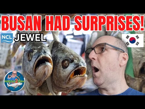 Norwegian Jewel Cruise: Busan Surprised Me!