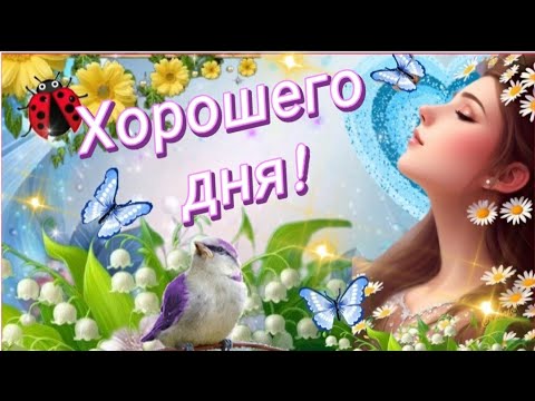 Если сегодня на душе темень, холод и пустота.. ПОМНИ ~И ЭТО ТОЖЕ ПРОЙДЁТ! Доброе утро☀️Хорошего дня!