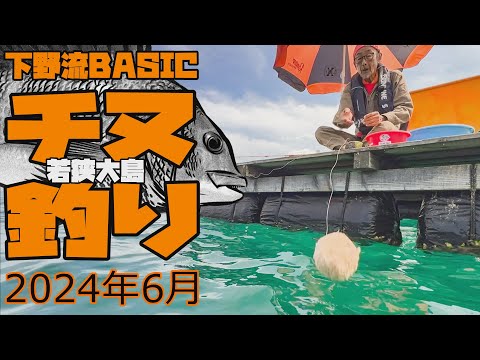 筏（イカダ）でチヌ釣り　2024年6月【下野流BASIC】