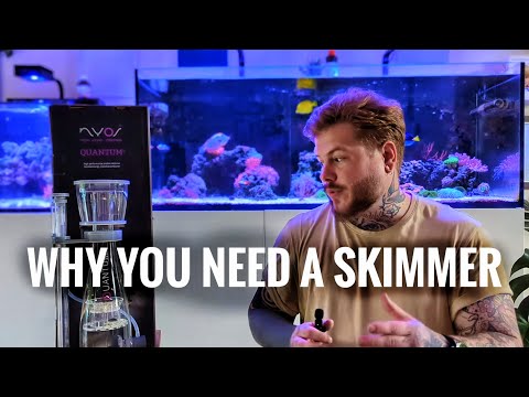 Why You Need A Skimmer In Your Aquarium│Nyos Quantum 120