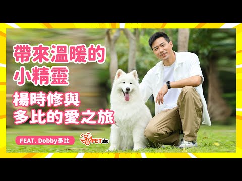 帶來溫暖的小精靈，楊時修與多比的愛之旅 Feat. Dobby多比【封面故事】｜#哈寵PETube 第286集