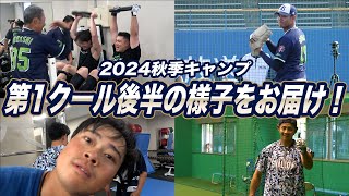 【2024秋季キャンプ】第1クール後半 11月3日～5日の様子をお届け！松山中央公園野球場（坊っちゃんスタジアム）