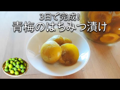 青梅 はちみつ漬け ！保存袋で3日で作れる！ カリカリ梅の作り方  ジップロック 青 うめ レシピ【梅干し の 漬け方】