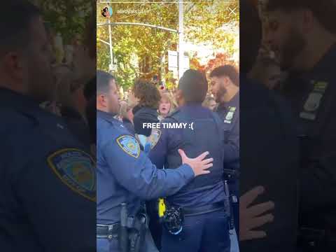 Timothée Chalamet lookalike arrested