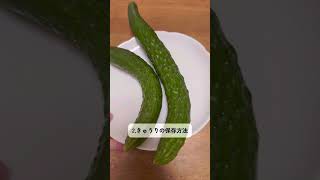 野菜の保存方法🥒🍅　#野菜 #保存方法 #夏野菜 #きゅうり #トマト #裏技 #ライフハック #MATE #メイト #わたしの節約 #shorts