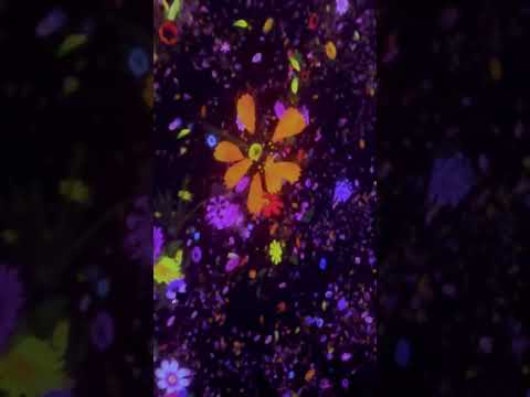 Floating in the Falling Universe of Flowers - Digital Installation at  teamLab Planets Tokyo!