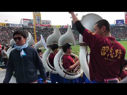 習志野高校吹奏楽部 甲子園応援 2019選抜【総集編】 準優勝 習志野甲子園応援