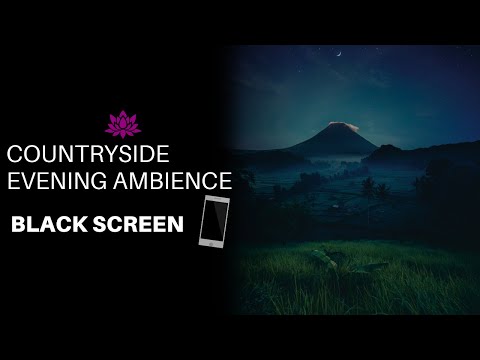 Countryside Evening Ambience | Relaxing sound for Sleep, Study or Meditation |BLACK SCREEN| 8 Hours