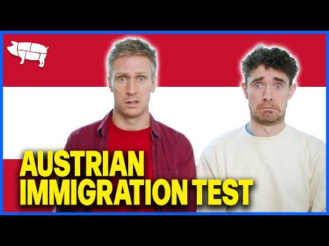 Getting Past Austrian Immigration