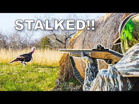 GOBBLER at 10 YARDS!! (Hunting By HAUNTED HOUSE)