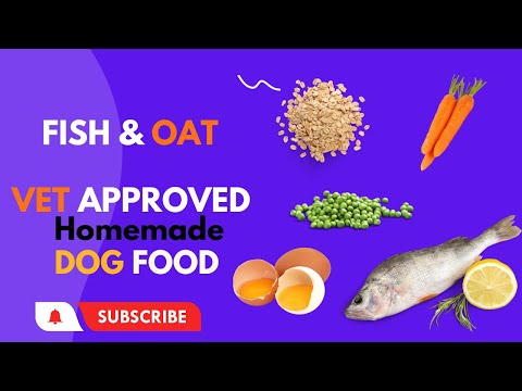 Fish and Oat | Homemade | vet approved | easy to cook | Human grade | dog food | blogsbyibrar