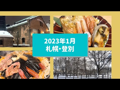 【VLOG】2023年1月　大寒波到来中の札幌・登別旅行