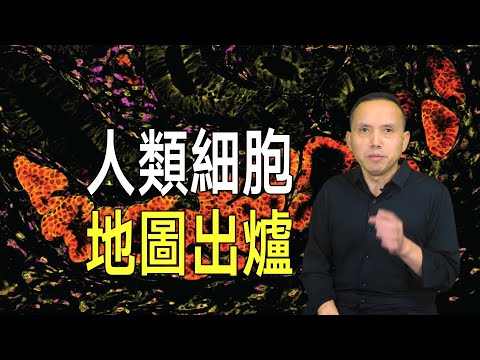 坐擁37兆房間的房東，終於知道房客在幹啥了！ 《自然》重磅推薦