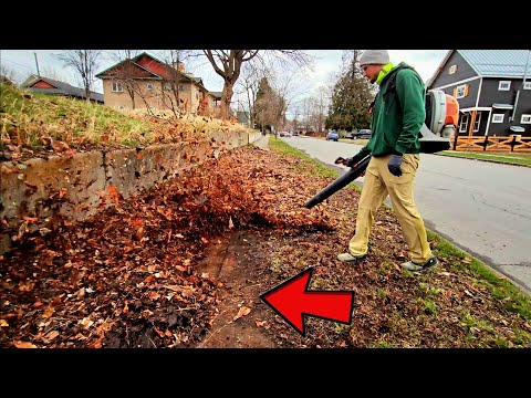 FILTHY Sidewalk CAKED With Years Of Dirt & Leaf Buildup Gets Cleaned Up