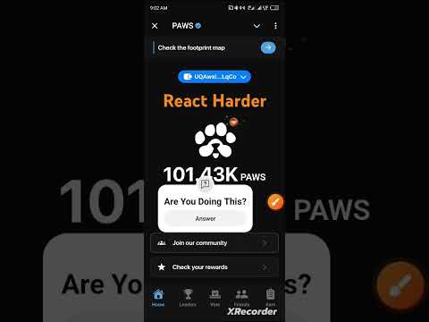 React Harder | PAWS QUEST #airdropminingupdate