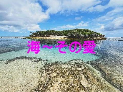 海・その愛　～エアロフォンAE-20で吹いてみた