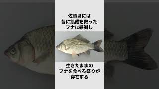 佐賀県についての雑学 #shorts