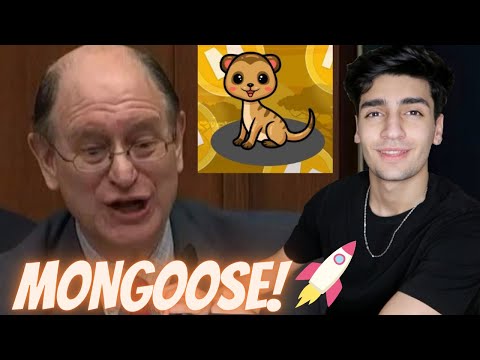 MONGOOSE MEME TOKEN IS A SCAM?? (MUST WATCH) WHAT IS $MONG!! RUG PULL??