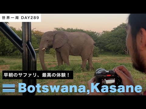 🇧🇼ボツワナ・カサネのチョベ国立公園でサファリ体験！動物にたくさん会えた！ゾウ、ライオン、キリン、カバ、野鳥などなど【世界一周】Day289