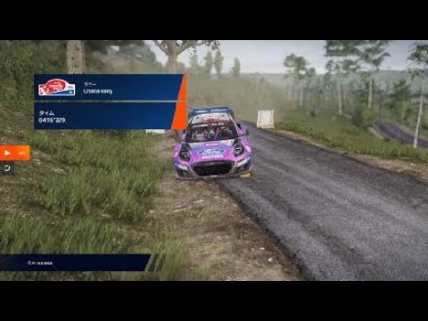 WRC Generations – The FIA WRC Official Game_20241218072545