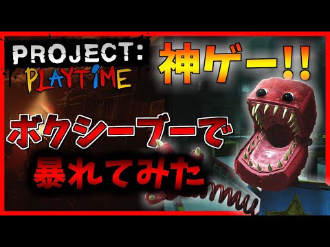 【実況】初戦ボクシーブーでプレイヤー全滅させたwww【Project: Playtime】