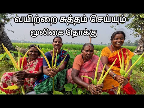 நம்ம புது வீட்டிலிருந்து பாரம்பரிய மருத்துவம் உணவு சமையல் ஆரம்பம் / நாட்டு சேம்பை பூ தொக்கு