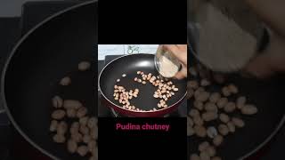 #pudina chutney#mint chutney#pudina tomato chutney#pudina chutney recipe#pudina chutney in telugu