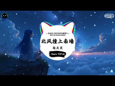 北风撞上南墙 (抖音DJ版) - 指尖笑「早春的花遇上晚冬的霜，熱情相遇卻落得心寒收場。」♪ || 全网热播BGM | 一听就上头的BGM | 抖音 | TikTok ♪