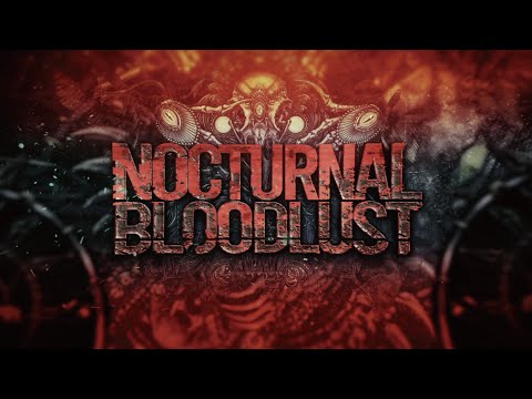 NOCTURNAL BLOODLUST - Straight to the sky (feat. Luiza) (Lyric Video)