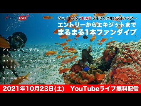 【沖縄ダイビングオンラインツアー】エントリーからエキジットまで！まるまる1本ファンダイブin水納島