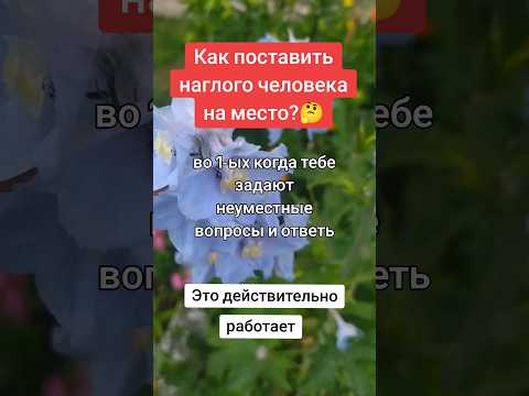 Как поставить наглого человека на место?/ How do you put an insolent person in their place?