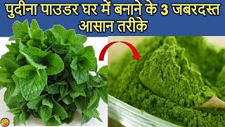 पुदीना पाउडर बनाने के 3 जबरदस्त आसान तरीके-How to make Pudina Powder at Home-Homemade Pudina Powder