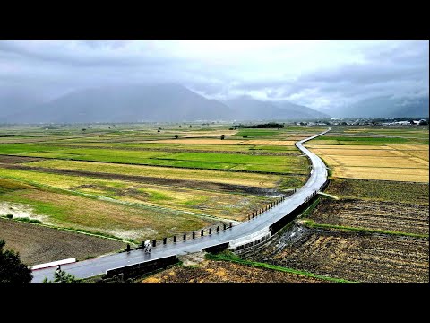 池上秋遊--伯朗大道,天堂路,大坡池,稻米原鄉館 4K