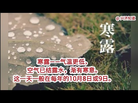 寒露节气，昼夜温差大。北方赏红叶，南方吃大闸蟹，各地都看菊花喝菊花茶。在新加坡，你的寒露节气怎么安排呢？