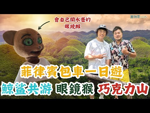 薄荷島包車一日遊，怎麼排？鯨鯊共游、眼鏡猴園區、巧克力山