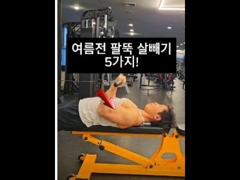 팔뚝살빼기 5가지 운동! 헬스장에가서 해보면 좋은 운동