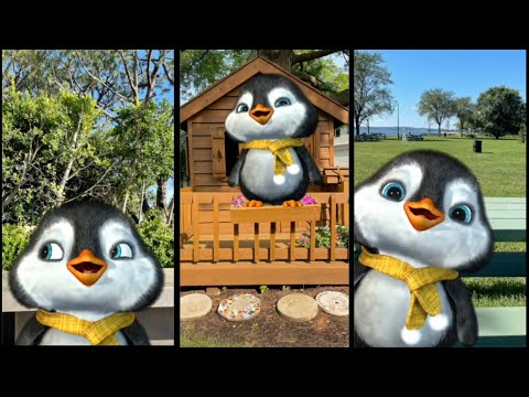 Puff Puff - Best of 2021 Compilation | itspuffpuff cute penguin